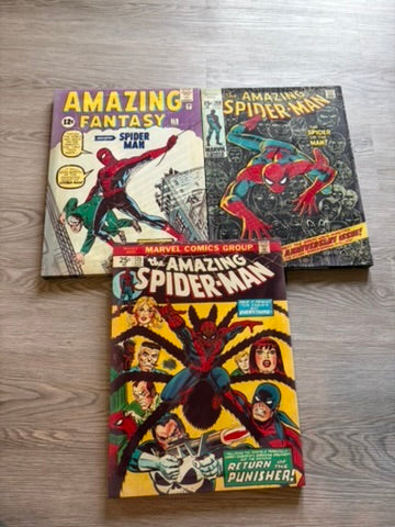 Three Spider-Man Canvas Art frames, comic book style. Spider-man Brand New Day Inspired.