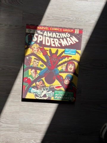 A Marvel Comics Group 'The Amazing Spider-Man' comic book canvas art with issue 135, displayed on a dark wood floor under direct sunlight casting strong shadows.