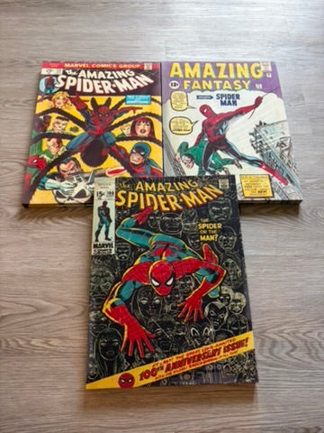 Three Marvel Spider-Man Brand New Day Art Frames Canvas.